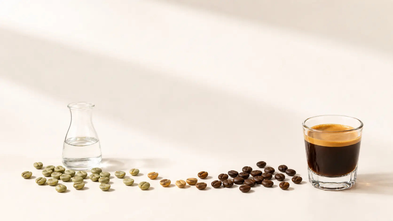 How Is Decaf Coffee Made? Decaffeination Methods Explained