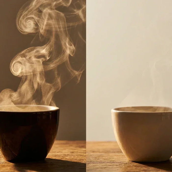 How Coffee Aromatics Fade: Why Coffee Loses Aroma Over Time