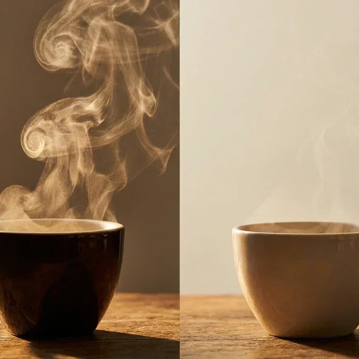 How Coffee Aromatics Fade: Why Coffee Loses Aroma Over Time