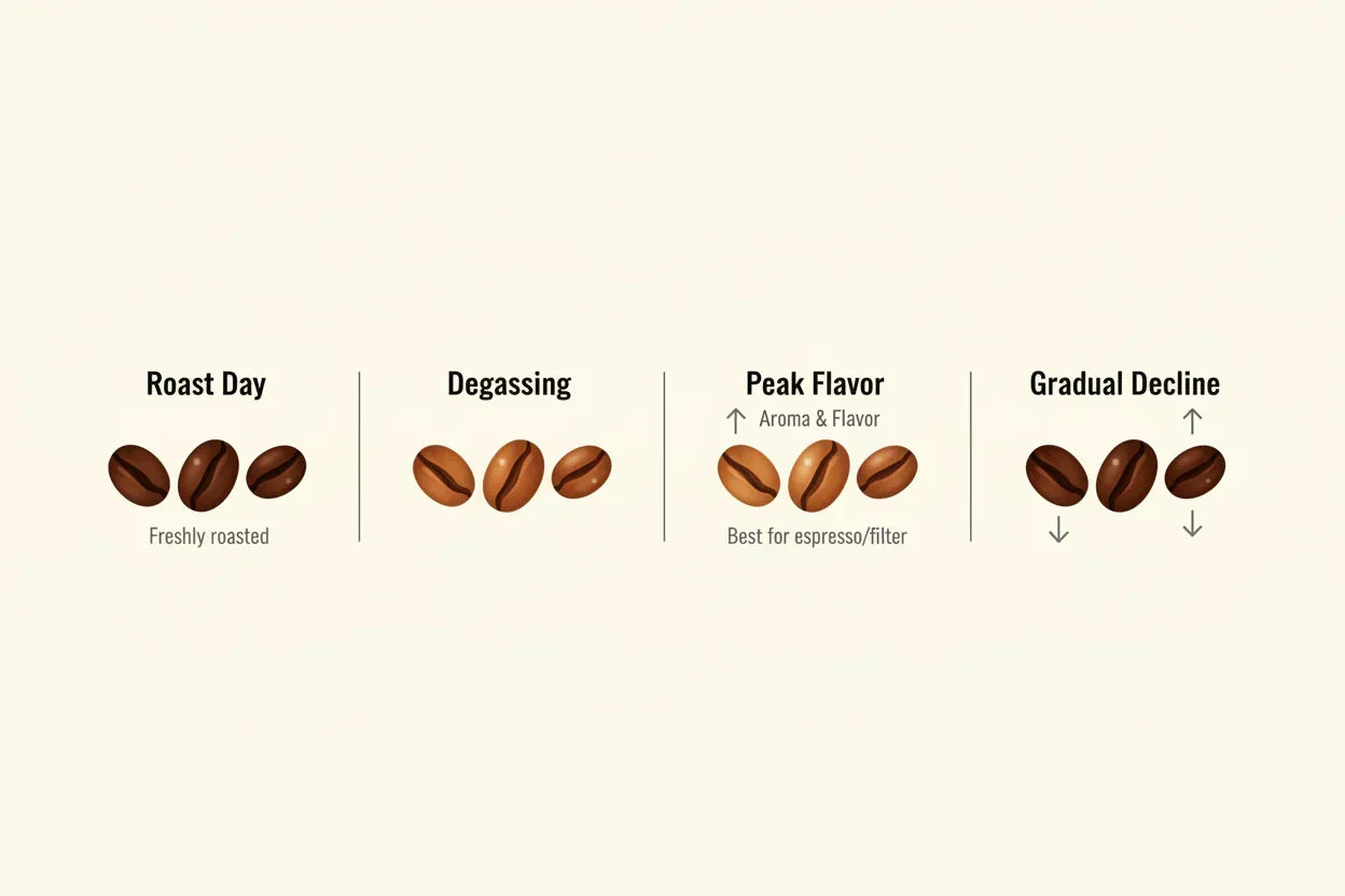 How Long Does Coffee Last After Roasting? The Freshness Timeline Explained