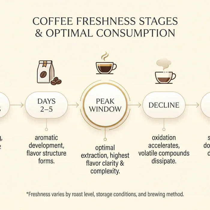 The Coffee Freshness Timeline: How Coffee Changes After Roasting