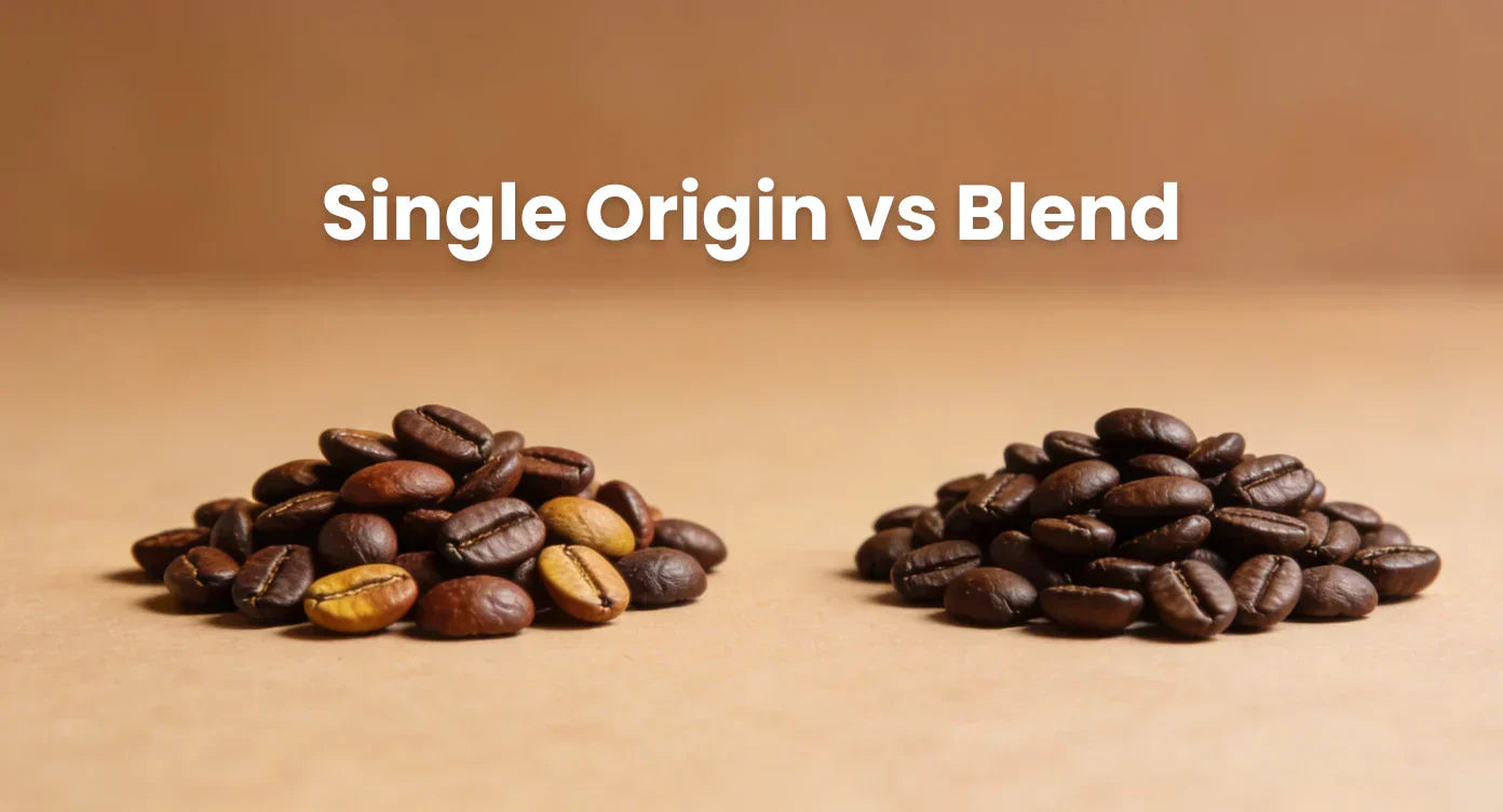 Single Origin vs Blend: Which Should You Buy?
