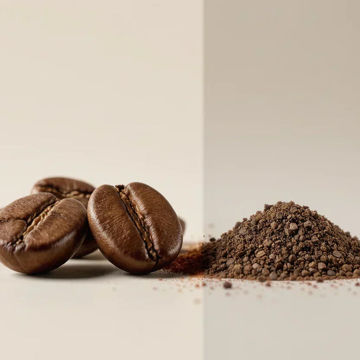 Whole Bean vs Ground Coffee Shelf Life