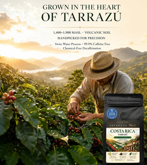 Costa Rica Tarrazú Decaf