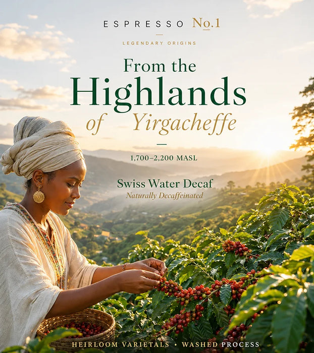 Ethiopia Yirgacheffe Decaf