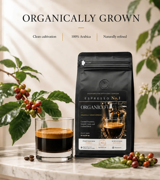 Espresso Organico