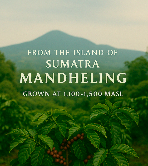 Sumatra Mandheling · K-Cups