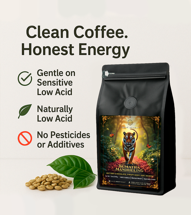 Sumatra Mandheling · K-Cups