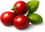 Flavor icon