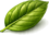 Flavor icon